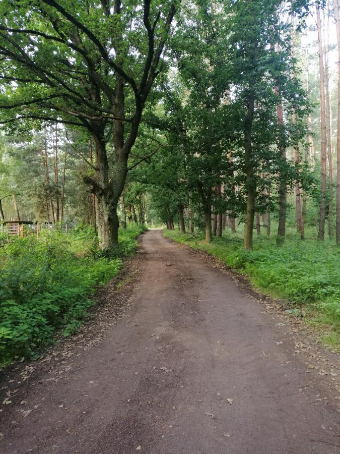 Domek Quatro Brzezinki Bagian luar foto