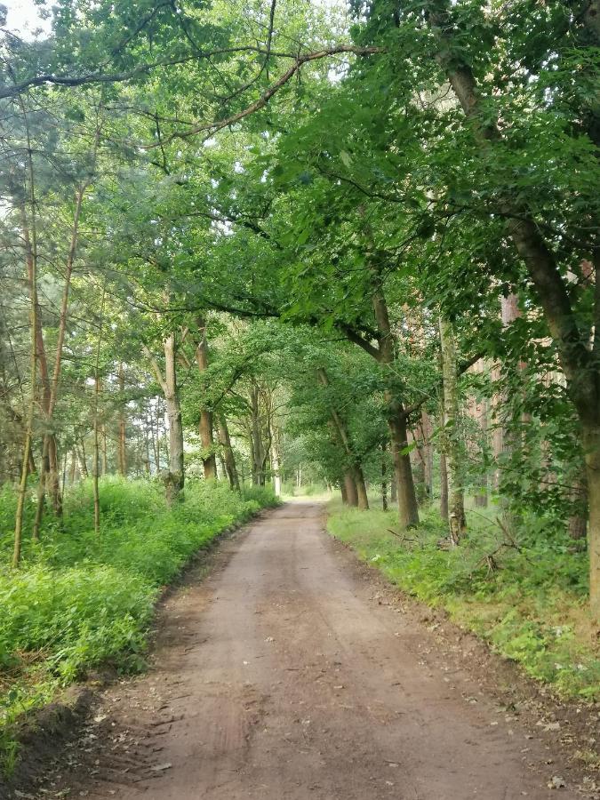 Domek Quatro Brzezinki Bagian luar foto